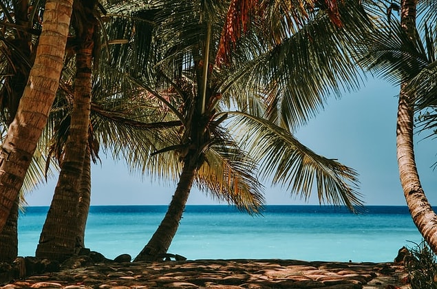 8. Madagaskar dünyanın en büyük 4. adasıdır.