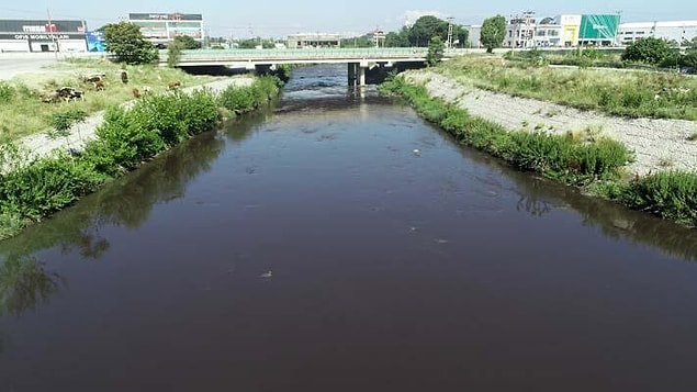 'Artık bir su değil, kimyasal atık'