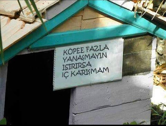 Resim