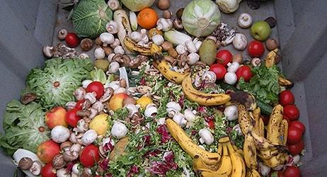 Araştırma: En Çok Sebze, Et, Ekmek ve Garnitür Çöpe Gidiyor