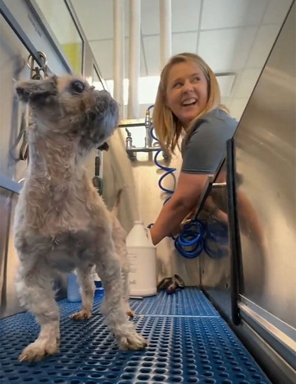 Крошечный ши-тцу также принял свою первую за долгие годы ванну