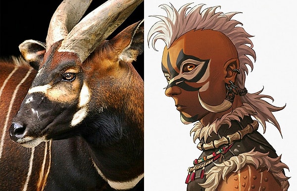 11. Бонго Антилопа