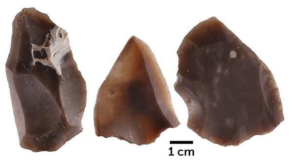 Bu aletleri üreten ve kullanan çok uzaktan akrabamız Nesher Ramla Homo, bilim insanlarına göre daha yakın akrabamız Neandertallerin de atası sayılıyor. Tel Aviv Üniversitesi'nden Dr Hila May...