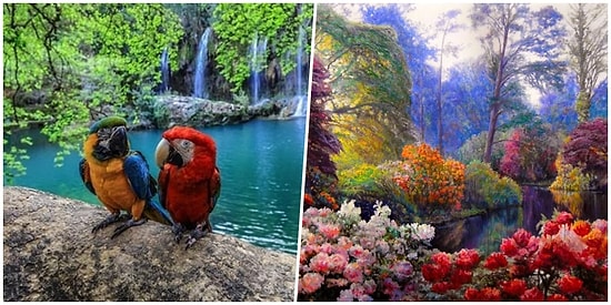 Ona Hep Minnettar Kalmalıyız: Doğanın Bize Sunduğu Ama Pek Farkında Olamadığımız 8 Güzellik