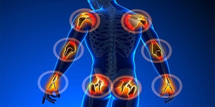 Mehmet Ali Deniz Yazio: Eklem Sağlığı için Genetik Yapı ve Kolajenler