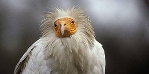 11 странных фактов, от которых у вас вспотеют ладони