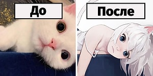 Японская художница показывает, как бы выглядели 10 кошек, будь они в теле девушек из аниме