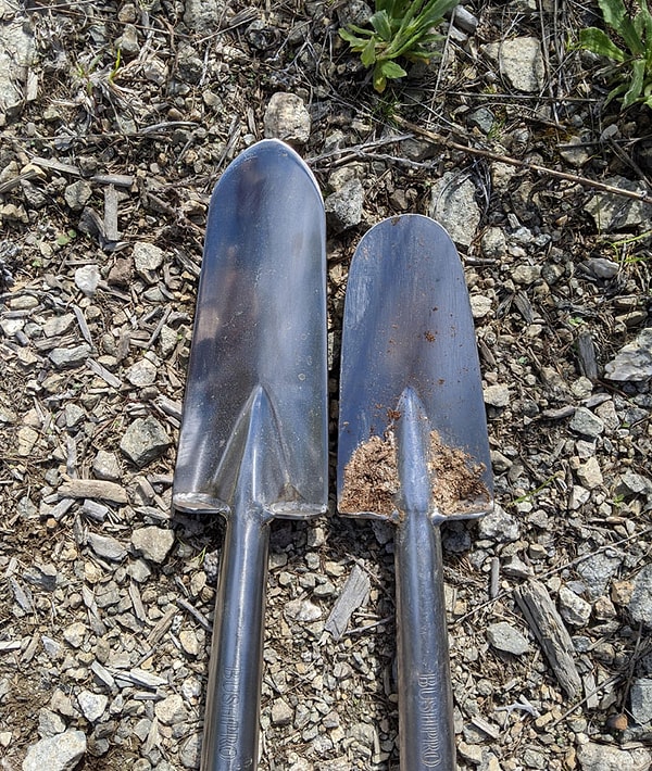 7. Посадка 90000 деревьев немного укоротит вашу лопату