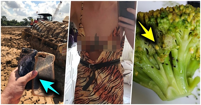 Çöle Düşse Kutup Ayılarıyla Karşılaşıp Birtakım Tatsız Olaylar Yaşayabilecek 17 Bahtsız Kişi