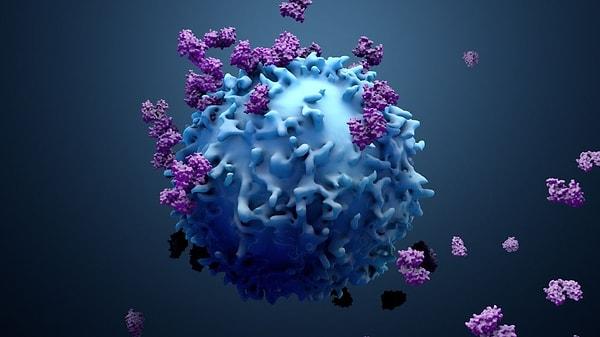 4. Vücudumuzda bulunan T Hücreleri kanser hücrelerini dahi öldürebiliyor.