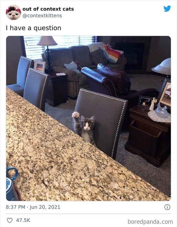 20. У меня вопрос