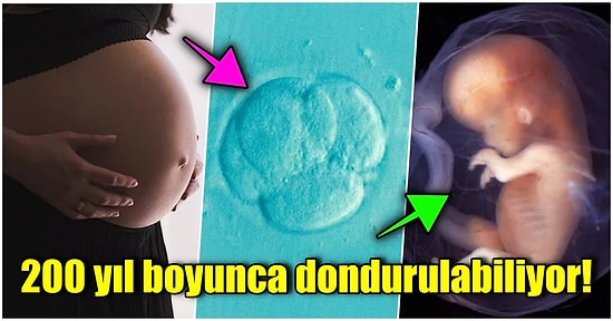 Tüp Bebek Tedavisi ve Embriyo Dondurma Hakkında Merak Edilen Tüm Soruları Yanıtlıyoruz!