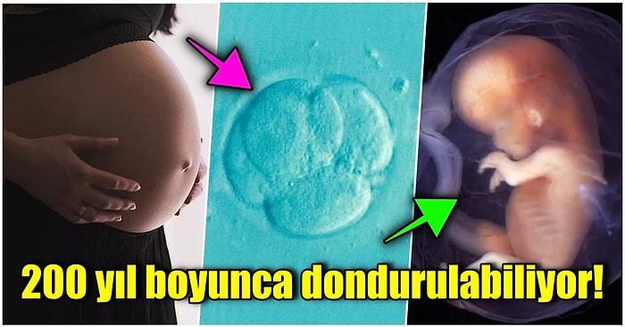 Tüp Bebek Tedavisi ve Embriyo Dondurma Hakkında Merak Edilen Tüm Soruları Yanıtlıyoruz!