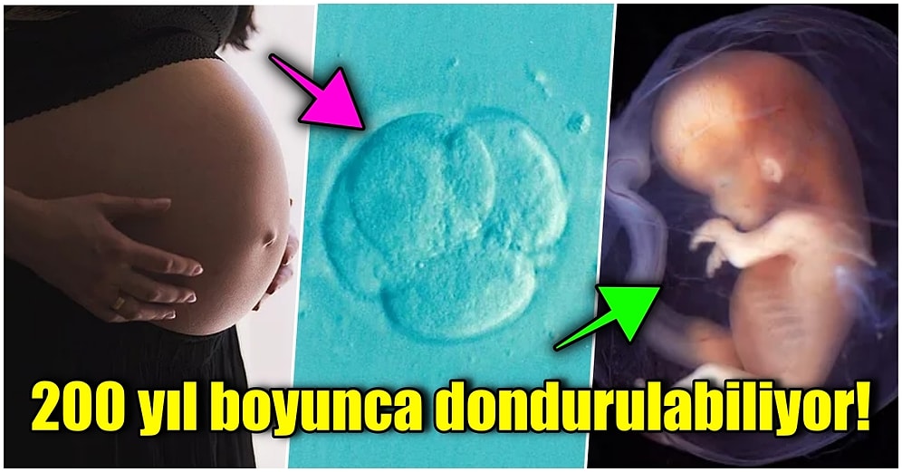 Tüp Bebek Tedavisi ve Embriyo Dondurma Hakkında Merak Edilen Tüm Soruları Yanıtlıyoruz!