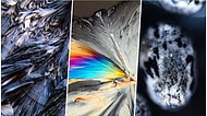 Mikro Fotoğrafçılık Algınızı Tümüyle Değiştirip Dünyaya Bakış Açınızı Ters Düz Edecek 20 İnanılmaz Fotoğraf