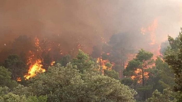 Binlerce Hektarlık Ormanı Yok Edecek Yangınla Uğraşırken Yağmurun Yağması ile Sevinen İtfaiye Ekipleri