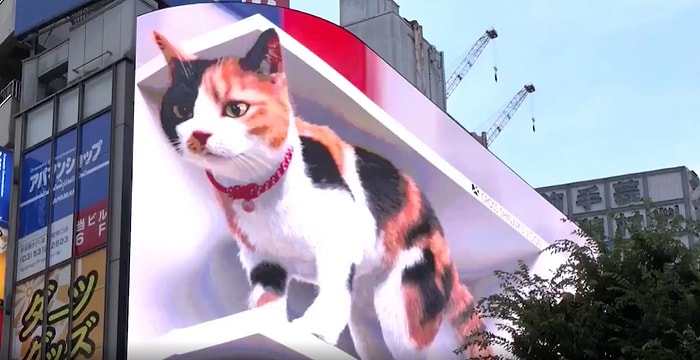 Tokyo'da Devasa Kedi Animasyonu ile Gösterime Giren 3D Reklam Panosu