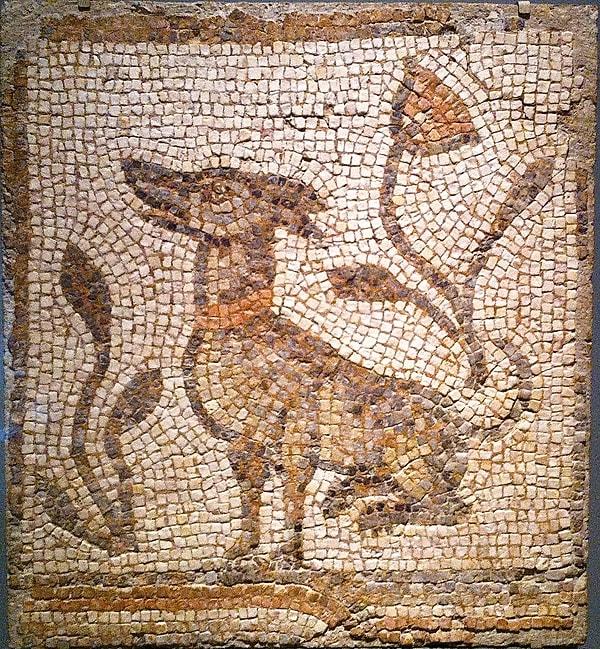 16. Gelincikler, köpekler ve maymunlar Roma İmparatorluğu'ndaki en popüler evcil hayvanlardı.