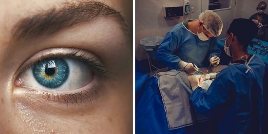 10 самых интересных фактов о человеческом теле, о которых мало кто знает