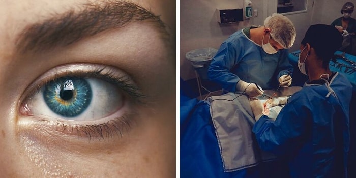 10 самых интересных фактов о человеческом теле, о которых мало кто знает