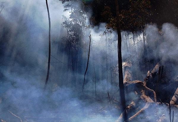 Amazon ormanlarında bugüne kadar en fazla orman yangını 2004 yılında kaydedilmiş, bölgede 9 bin 179 yangın kayıtlara geçmişti.