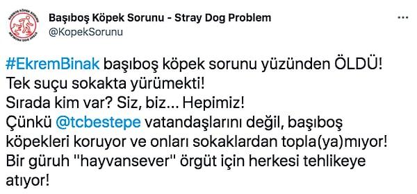 Bu ölümün ardından da başıboş gezen sokak köpekleriyle ilgili "sorun" yeniden gündeme gelmişti. "Başıboş Köpek Sorunu" isimli sayfa da bu sorunla ilgili Twitter'dan böyle bir paylaşım yaptı.