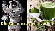 Oradan Bir Porsiyon Astronot Yiyeceği! NASA'nın Astronotlara Özellikle Tükettirdiği Mucizevi Besin: Spirulina