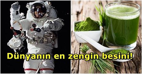 Oradan Bir Porsiyon Astronot Yiyeceği! NASA'nın Astronotlara Özellikle Tükettirdiği Mucizevi Besin: Spirulina