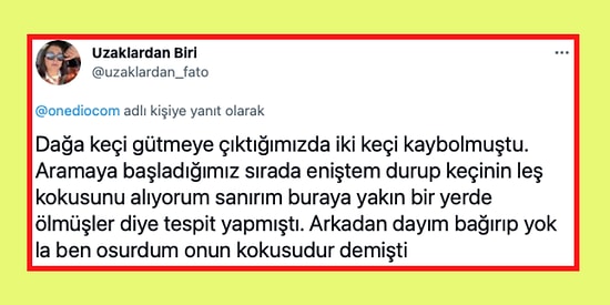 Akrabalarıyla Yaşadıkları Birbirinden Komik Olaylarla Hepimizi Kahkahaya Boğan 17 Takipçimiz