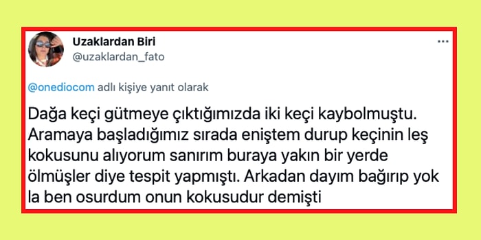 Akrabalarıyla Yaşadıkları Birbirinden Komik Olaylarla Hepimizi Kahkahaya Boğan 17 Takipçimiz