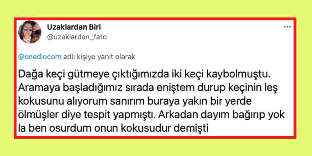 Akrabalarıyla Yaşadıkları Birbirinden Komik Olaylarla Hepimizi Kahkahaya Boğan 17 Takipçimiz
