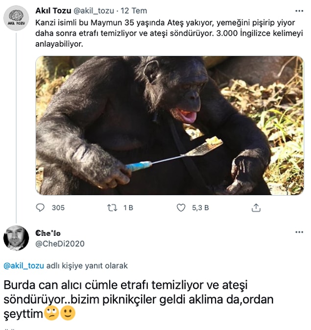 16. Tek can alıcı cümle o değil gibi sanki ama.