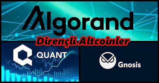 Düşüşte Bile Diğerlerine Göre Daha Çok Ayakta Kalmayı Başaran 12 Güçlü Altcoin