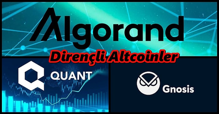 Düşüşte Bile Diğerlerine Göre Daha Çok Ayakta Kalmayı Başaran 12 Güçlü Altcoin