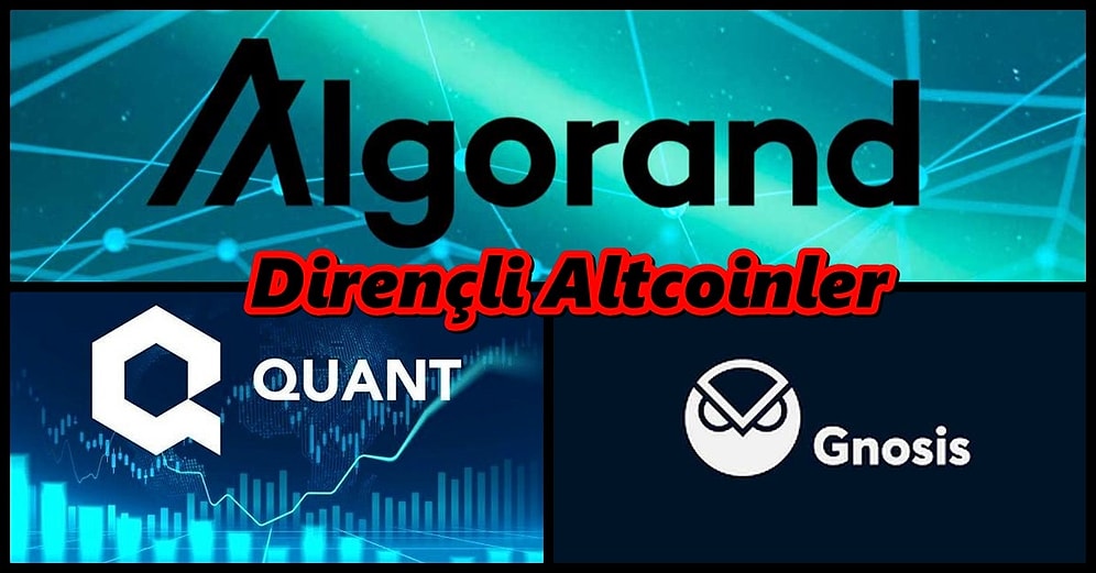 Düşüşte Bile Diğerlerine Göre Daha Çok Ayakta Kalmayı Başaran 12 Güçlü Altcoin