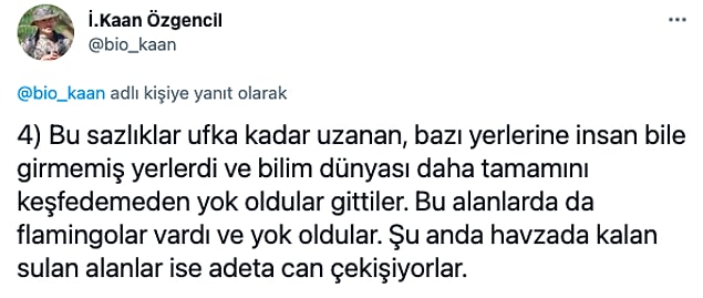👇
