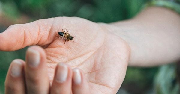8. Yazın sivrisinekler dışında arı ve böcek sokmaları da oldukça sık karşılaşılan durumlar.