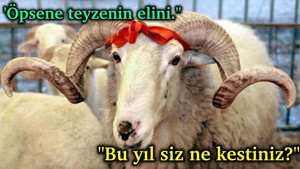 İstisnasız Her Kurban Bayramında Duymaktan Artık Ezbere Bildiğimiz 14 Klasik Cümle