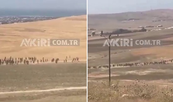 Sınır Bölgesinden Göçmenlerin İlerleyişini Gösteren Yeni Görüntüler Geliyor