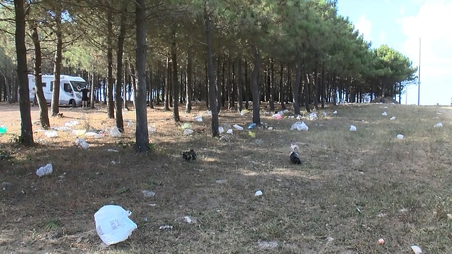 "Eğitim şart"