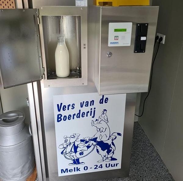 14. “Hollanda'da birçok çiftçi, insanların çiftliğin kendisinden taze süt alabilecekleri makinelere sahip. Süpermarketten daha ucuz ve çiftçilere ürünleri için daha fazla kâr sağlıyor.”