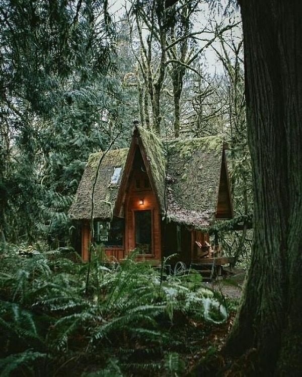 37. Büyülü ormandaki bu küçük cadı kulübesi.
