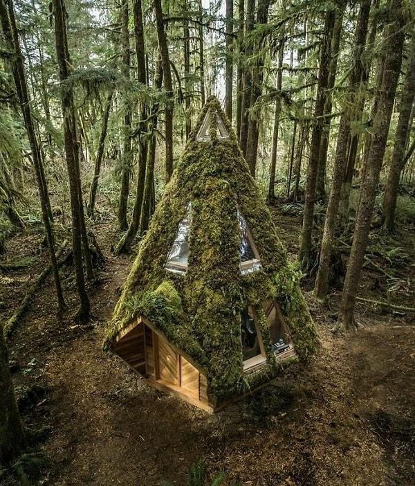 45. Tasarımı Jacob Witzling ve Sara Underwood'a ait olan ve Kuzeybatı Pasifik Yağmur Ormanı'nda bulunan elmas kabin