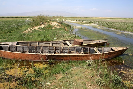 Eber Gölü Yok Olmak Üzere: "Hiç Bitmez, Tükenmez Sandık, O da Canlıymış"