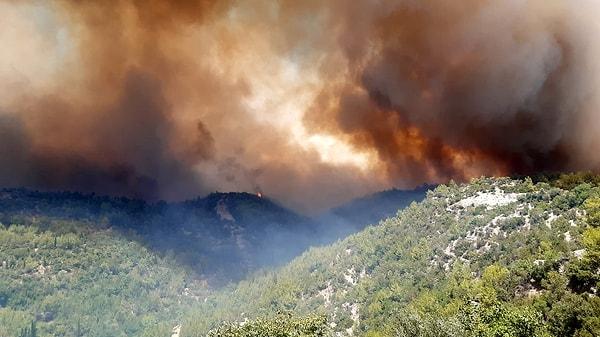 "Yangın, 40 bin hektarı aşmış durumda"
