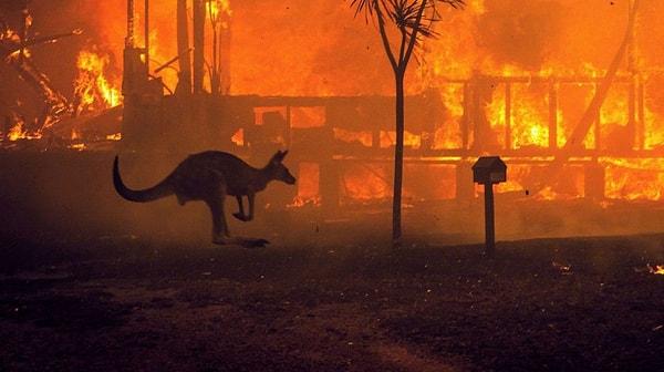 2019-2020 Avustralya Orman Yangınları