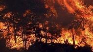 Dünya Alev Alev Yanıyor! ABD'den Sibirya'ya Tüm Dünya Yangınlarla Mücadele Ediyor