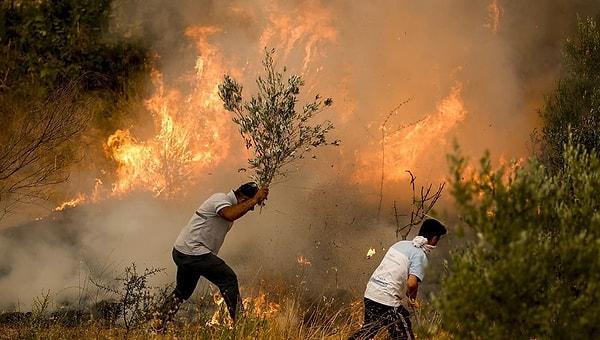 Tekrar belirtmekte fayda var, bahsedeceklerimiz orman yangınlarının sonuçlarından bağımsız.