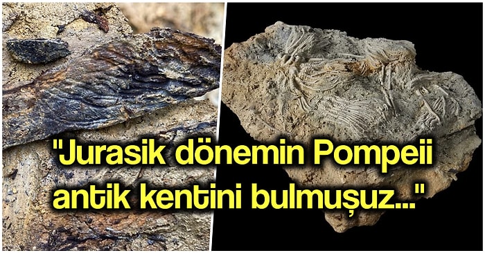 Jurasik Dönemden Kalma Deniz Mezarlığında Uzaylıya Benzeyen Canlı Türleri Bulundu