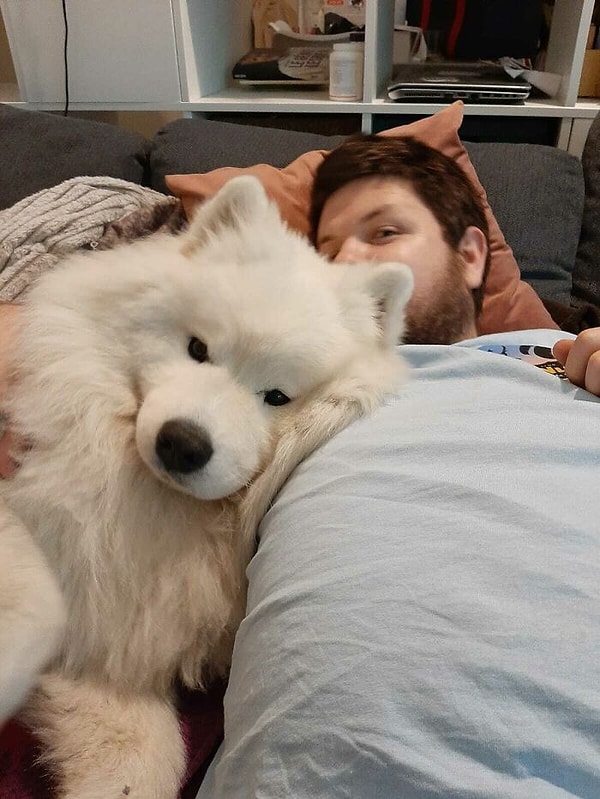 5. Приютил пушистое облачко)